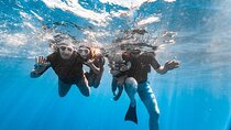 3 Hour Express Snorkel to Molokini