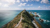 Dunedin to Invercargill via the Scenic Catlins 