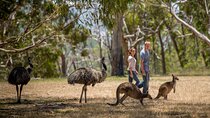 Adelaide Gems Tour-Inspired by Phil Rosenthal's Netflix Odyssey 