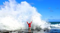 Dunedin to Te Anau via Catlins & Invercargill Small Group Tour 