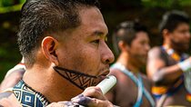 Tour to Emberá Indigenous Village: Canoeing, Crafts, and Lunch