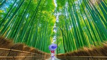 Kyoto Guided Private Tour 
