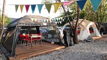 DMZ Tour & Campnic with BBQ Experience