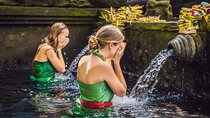 Full Day Tour Ubud Rice Terraces Waterfalls and Holy Springs