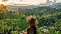  Bali UNESCO Rice Terrace, Bratan Temple and Hidden Waterfalls