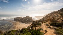 Mornington Peninsula Private Day Tour