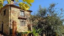 Barcelona: Montserrat & Optional Olive Tour with Tapas Lunch