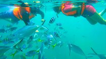 Kota Kinabalu Snorkeling Tour at Manukan and Sapi Island 