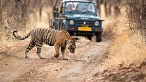 6 Days - Delhi, Agra, Ranthambore and Jaipur Private Guided Tour