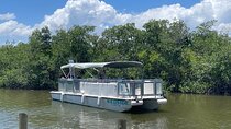 Dolphin Eco Cruise Nature Adventure in Cocoa Beach