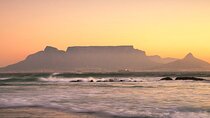 5-Day Cape Town, Safari and Garden Route, South Africa Tour
