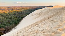 From Bordeaux Arcachon Bay and Dune du Pilat Day Trip