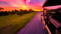 Chobe Sunrise Express-track predators at dawn-back by lunch time