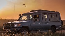 6-Day Ngorongoro, Serengeti & Tarangire NP Budget Tour