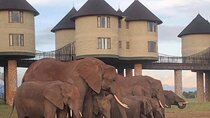 2 Day Night Salt Lick Safari from Nairobi