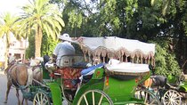 Marrakech City Tour with Majorelle Garden, Menara & Caleche Ride