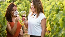 Mijas Organic Vineyard: Exclusive Sunset Wine & OliveOil Tasting