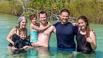 Tulum History, Sian Ka'an Floating Canals and Tacos Honorio Lunch