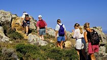Private Hiking Tour Experience at Rocky Mountain National Park