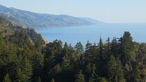 Big Sur Sightseeing Tour