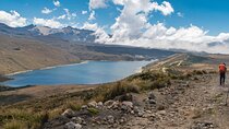 Manizales - Laguna Del Otún - Cocora Valley - Salento