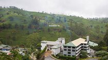 Private Day Tour to Nuwara Eliya Pickup from Kandy