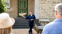 The Perth Mint Gold Tour