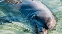 Outback Coast 4 Day Tour