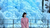 Seoul Winter Tour: Strawberry Picking, Gamaksan & Hanok Village