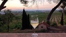 From Valencia Utiel Requena Wine Tour