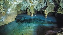 Cradle of Humankind Tour Sterkfontein Caves and Maropeng