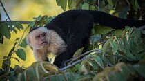 Palo Verde National Park Boat Safari with Local Cuisine