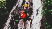 Full-Day Tour in Minca: Hiking, Waterfalls, Coffee and Cocoa