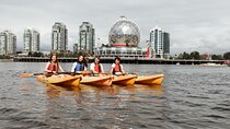 Kayak & Paddle Board Rentals 