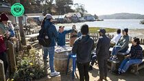 Women Only 5 day California Vineyards, Waves and Wine Tour