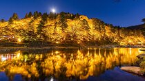 Obara Shikizakura and Korankei Light-up 1Day Bus Tour From Nagoya