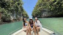 Cebu BojoRiverCruise, KawasanCanyoneering, Sardines Run (private)