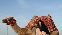 1-Hour Camel Ride in the Stunning Desert with Transfer–Marsa Alam