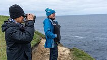 8 Day Isle of Skye, Orkney & North Coast 500 tour from Edinburgh