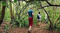 Zanzibar Full-Day Tour Jozani Forest and Swahili Cooking Class