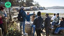 Private 5 day California Vineyards, Waves and Wine Tour