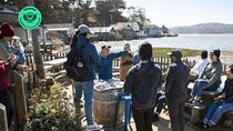 5 day California Vineyards, Waves and Wine small group tour 