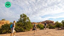 Private Western National Parks Tour from Las Vegas to San Francisco 