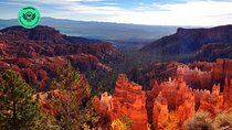 Yellowstone Rocky Mountain and California Desert 11 Day Explorer 