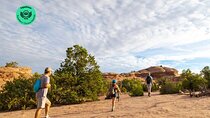 Private Tour: Best of the West 11-Day National Parks Tour with Lodging