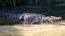 Sian Kaan Reserve Private Bike Tour
