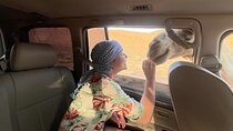 Wahiba Sands and Wadi Bani Khalid day tour