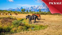 6 Day Tour: Grand Teton, Yellowstone, Rocky Mountain, and Colorado Hot Spring 