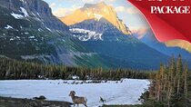 Grand Teton, Yellowstone, and Glacier National Parks 8-Day Tour