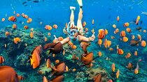 Bali Padangbai Private Snorkeling Blue Lagoon Adventure & Lunch